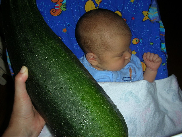 The zucchini is bigger than the baby!